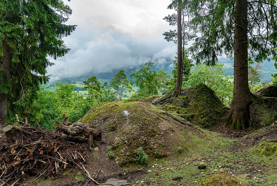 Arth, Goldau, Sveitsi, Schwyz, pilviä, puu, metsä, mäki, matkustaa, tutkiminen, maisema