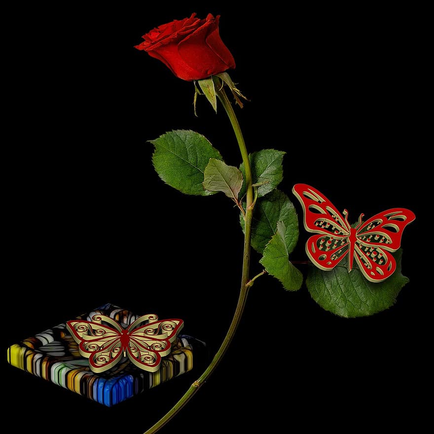 ruusu-, punainen ruusu, kukka, koriste