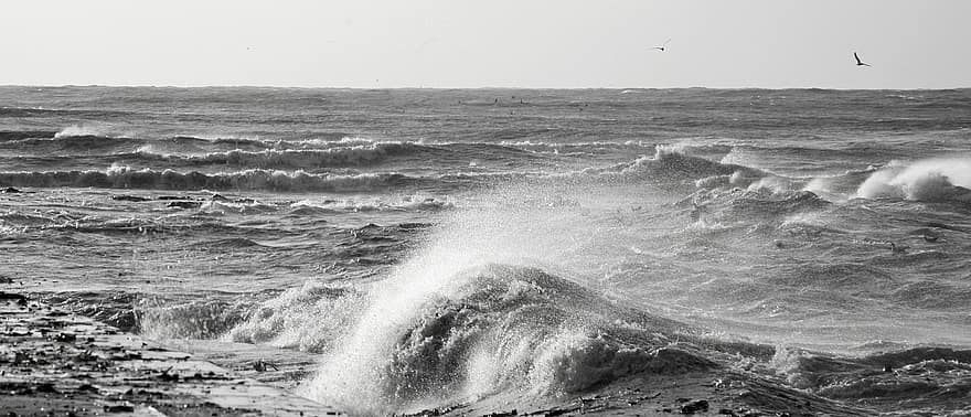 mare, oceano, onde, all'aperto, onda, acqua, costa, Surf, bianco e nero, paesaggio, paesaggio marino
