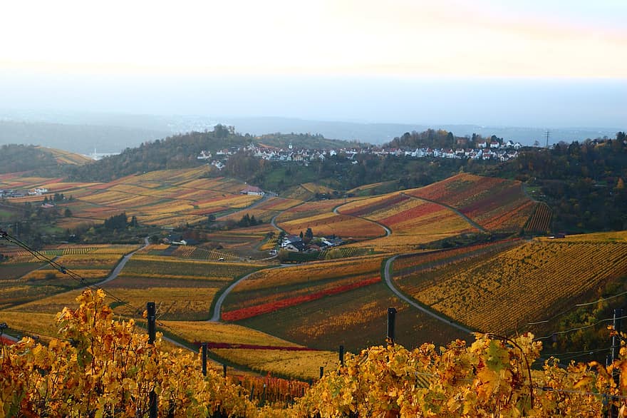 vallen, wijngaard, bergen, herfst, prachtig uitzicht, landschap, landelijke scène, landbouw, farm, berg-, boom