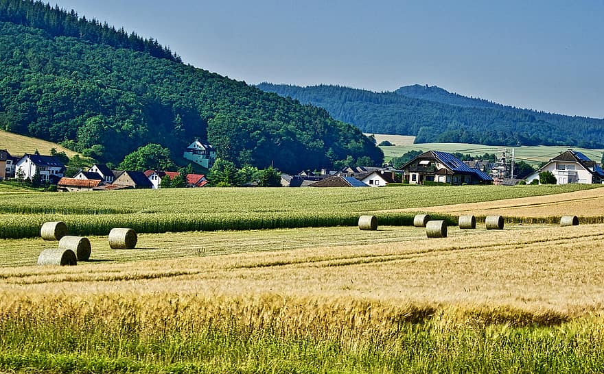 Hay, Fields, Meadow, Grass, Farming, Scenery, rural scene, farm, agriculture, summer, landscape