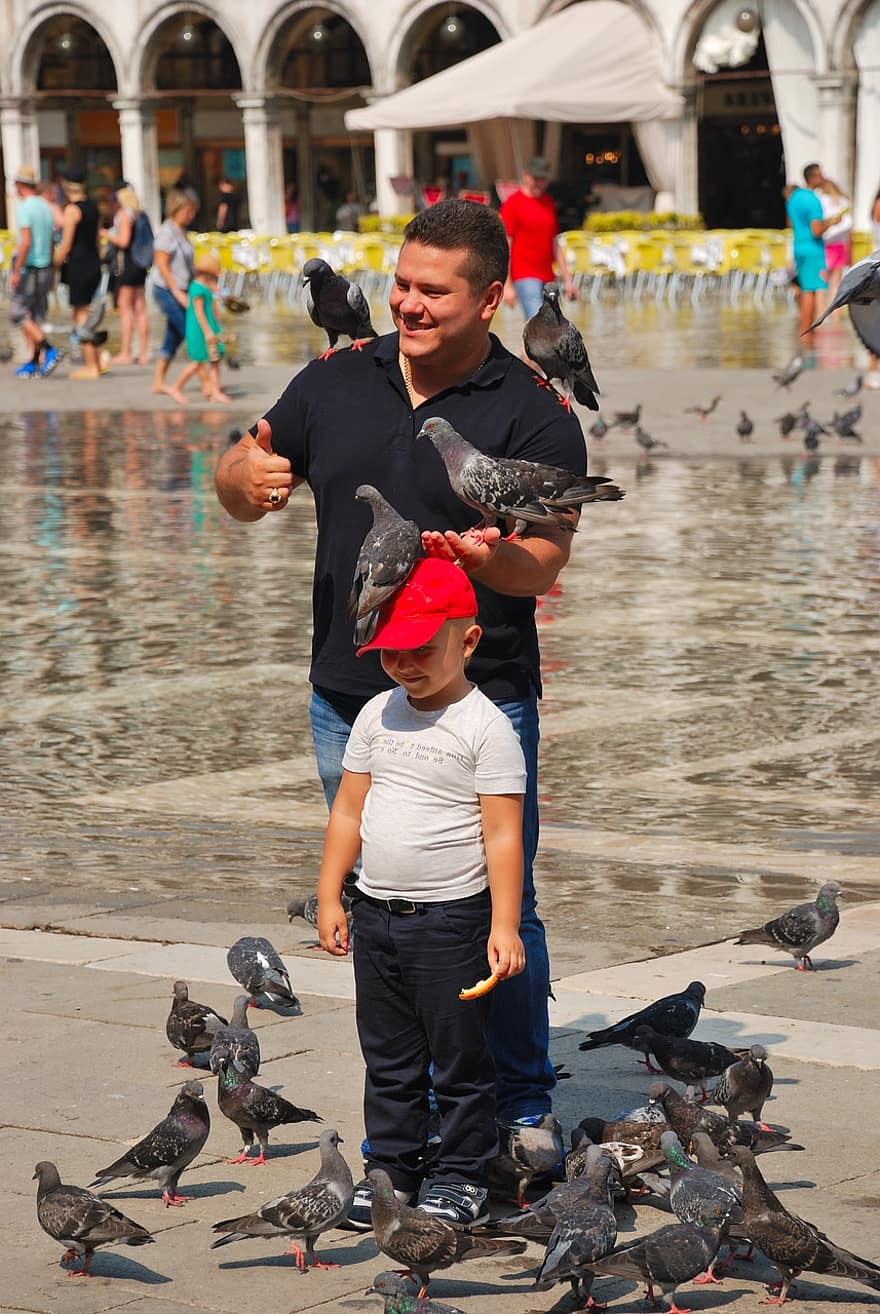 Pigeons, Feeding Pigeons, St, Mark's Square, Tourists, Venice, Pigeons On The Head, Child, Red Cap, Flying, Animal World