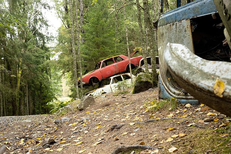 Cotxes abandonats, restes de cotxes, bosc, boscos, camp