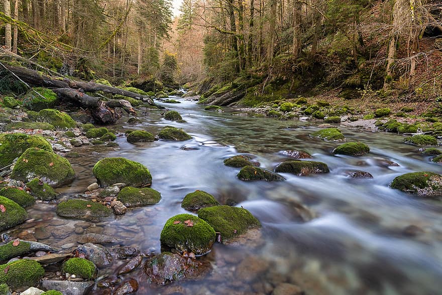 Rocks, Stream, Brook, Trees, Bach, Nature, Landscape, Flow, Flowing Water, Long Exposure, Moss