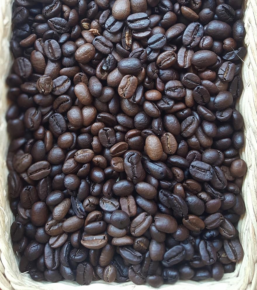 kava, kavos pupelės, sėklos, pupelės, Iš arti, fonas, kofeinas, tamsus, gerti, šviežumas, Žemdirbystė