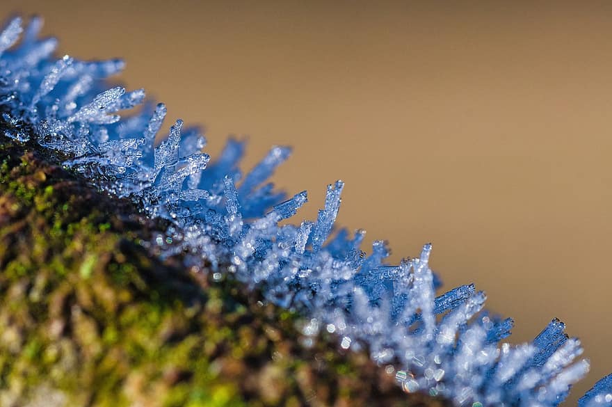 Ice Crystals, Moss, Frost, Winter, Nature, Close Up, close-up, blue, macro, backgrounds, leaf