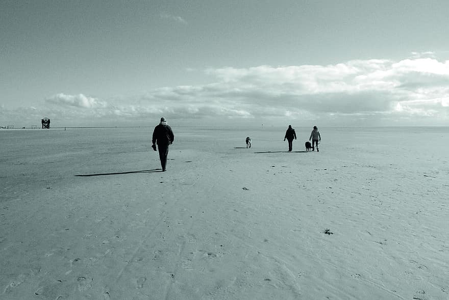 plajă, nisip, mare, Marea Nordului, nori, natură, peisaj, excursie pe jos, câine, oameni, coastă