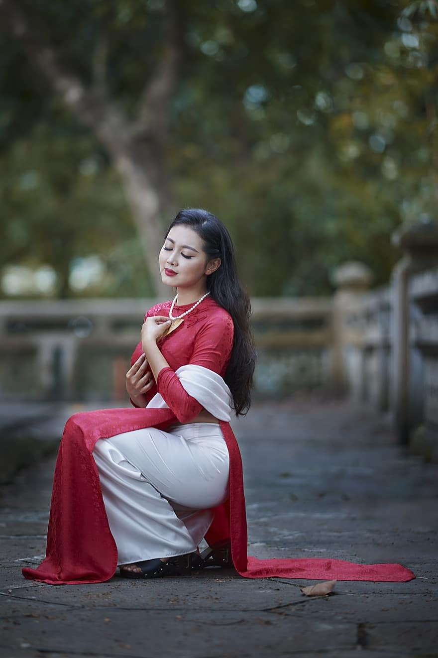 ao dai, mode, femme, vietnamien, asiatique, Robe nationale du Vietnam, traditionnel, belle, joli, fille, pose
