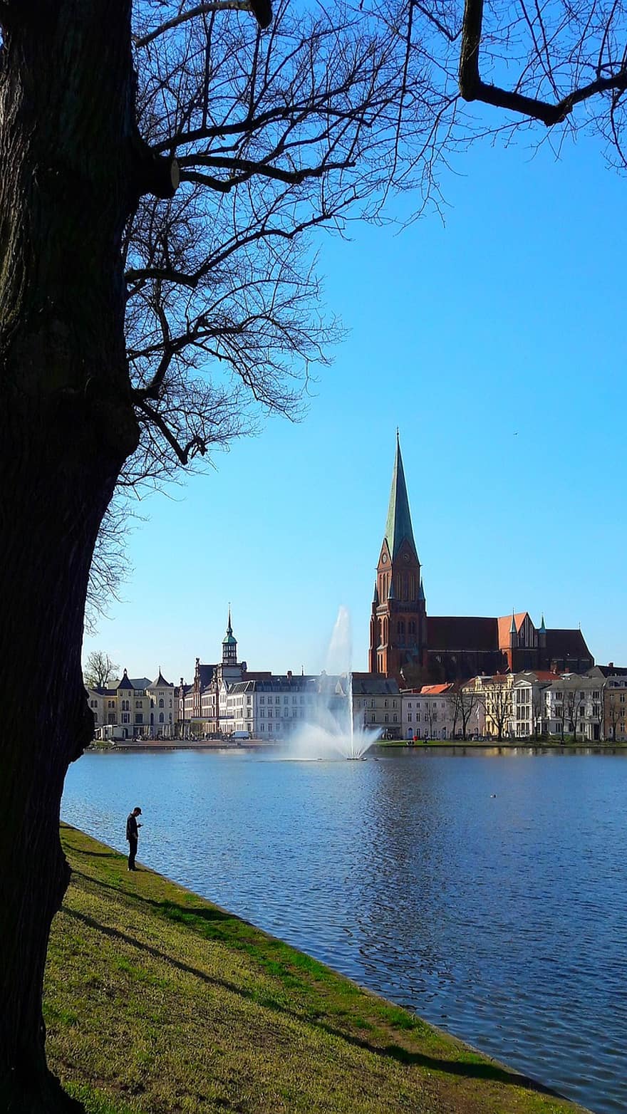 Schwerin, dom, albero, acqua