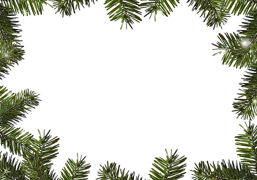 Cadre, vert sapin, branches, houx, Noël
