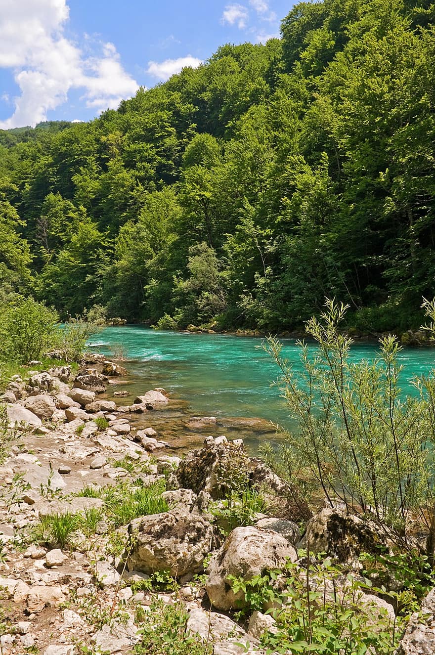 luonto, joki, matkustaa, tutkiminen, ulkona, montenegro, Tara-joki