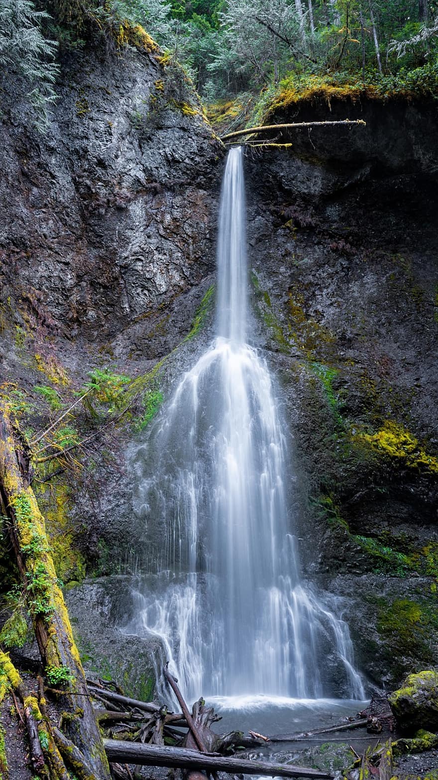 Wasserfall, Wald, Kiefernwald, Natur, Wasser, Landschaft, Washington, friedlich, Wolke, ruhig, pnw