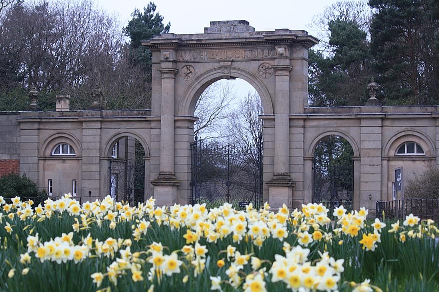 Daffodil, Spring, Gateway, Building, Architecture, Shropshire, Attingham, Flowers, Field, flower, christianity