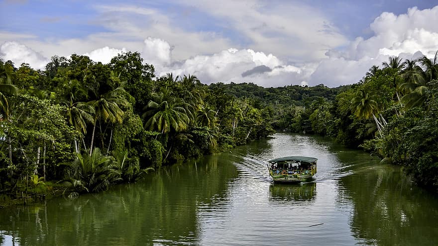 Vjetnama, upe, laiva, prāmis, džungļos