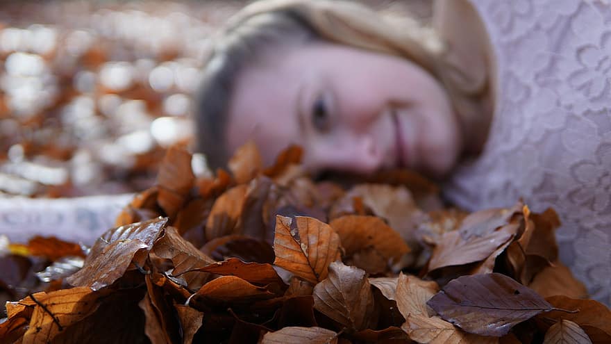 Leaves, Foliage, Girl, Bokeh, Brown Leaves, Dry Leaves, Autumn, Fall