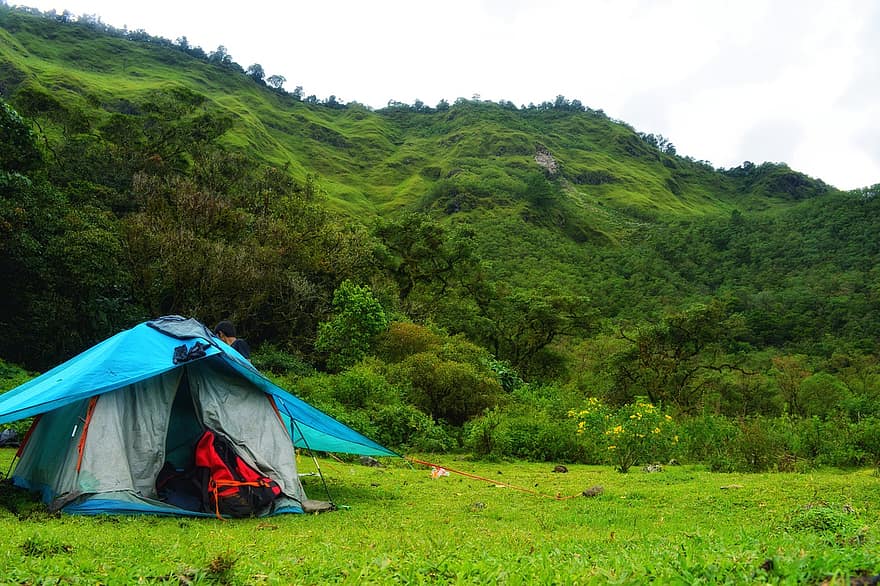 bakke, bjerg, Camping, campingplads, telt, natur, græs, landskab, sommer, grøn farve, vandring