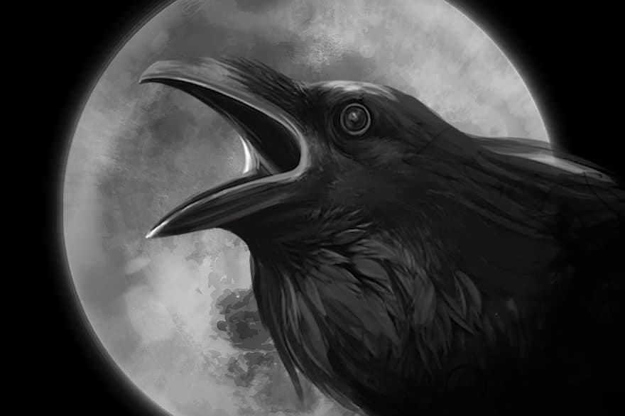 Halloween, Crow, Raven, Map, Background, Moon, Black, White, Spooky