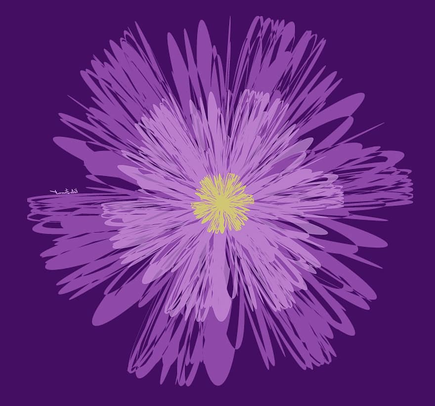 flor Purpura, floral, Flores moradas, naturaleza, primavera, verano, flor, floración, jardín, diseño, decoración