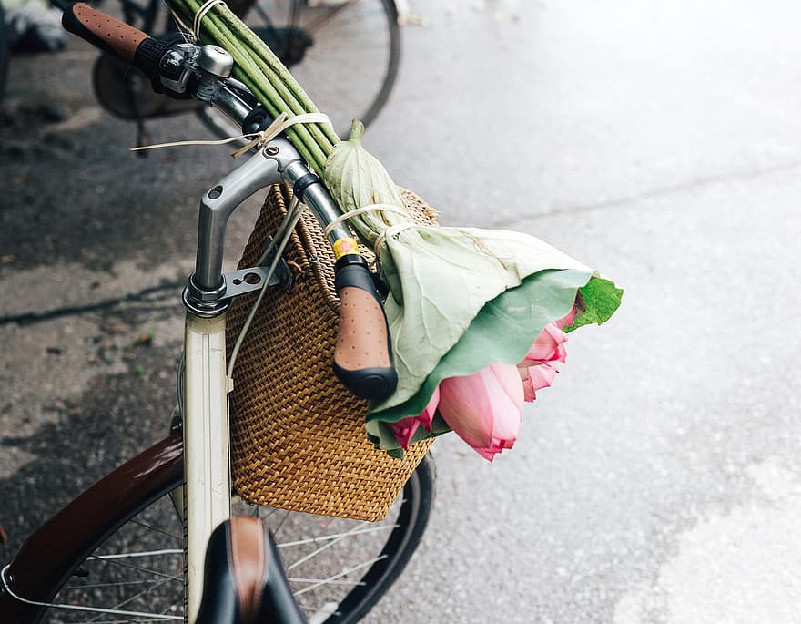 велосипед, квіти, букет, лілія