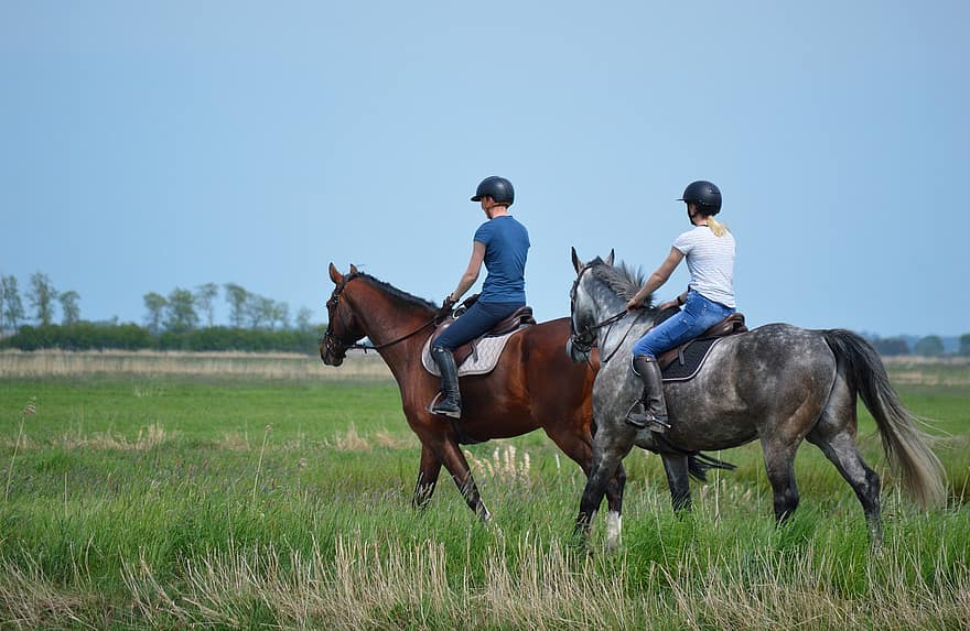 koně, jízda na koni, zvířat, ženy, jezdecký, Příroda, krajina, jaro, pastviny, volnočasové aktivity, volný čas