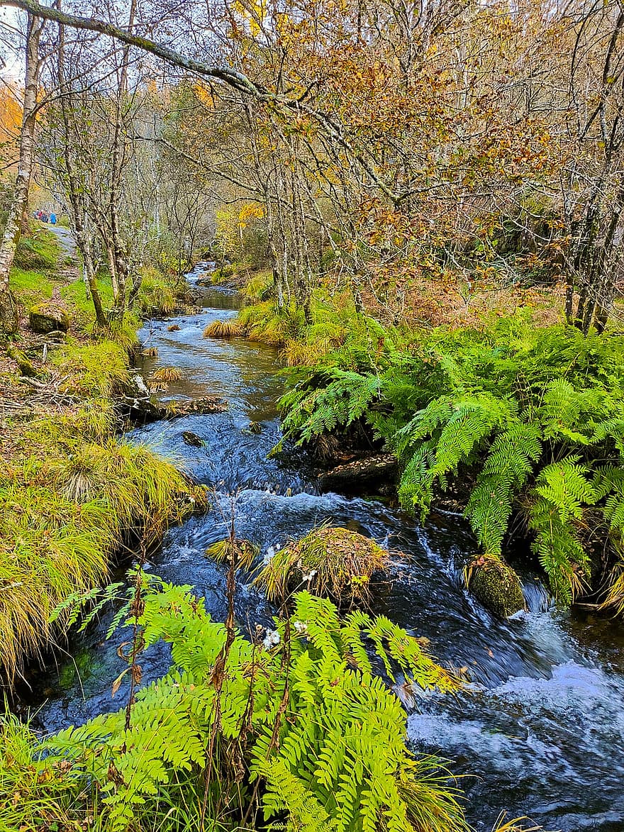 река, гора, природа, пътуване, есен, листо, дърво, пейзаж, зелен цвят, вода, сезон