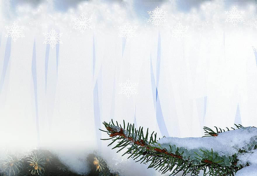 Schnee, Winter, Weihnachten, Hintergrund, Tannenzweig