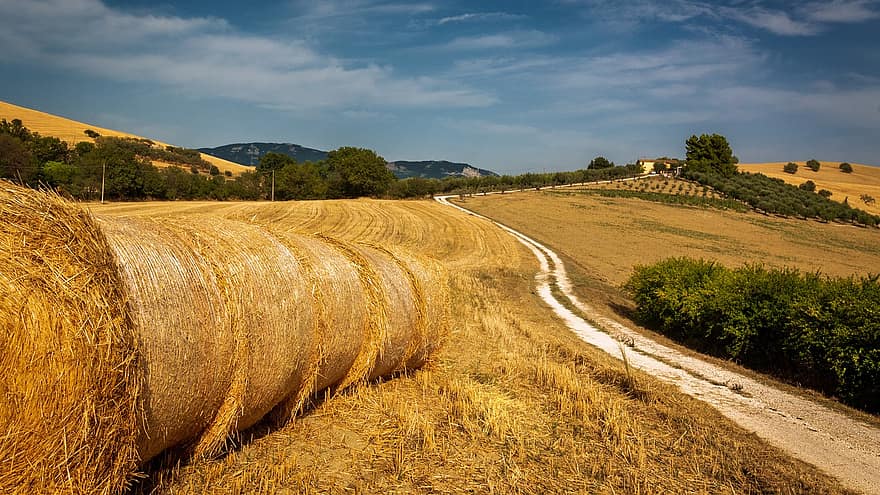 Straw, Field, Hay, Agriculture, Rural, Nature, Cereals, Wheat, Arable, Arable Land, Agricultural