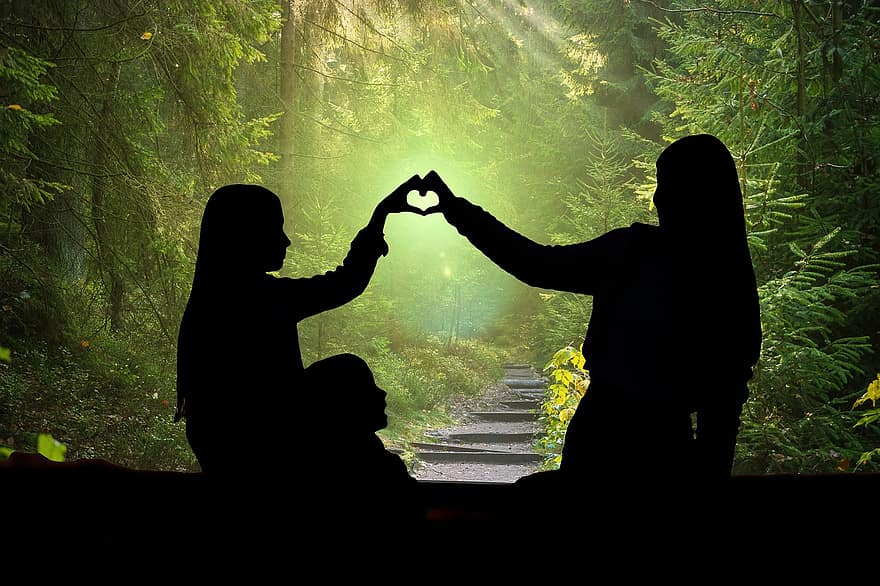 hjerte, kjærlighet, trær, blader, skog, miljø, Klima forandringer, naturreservat, vekst, fornybar energi, beskyttelse