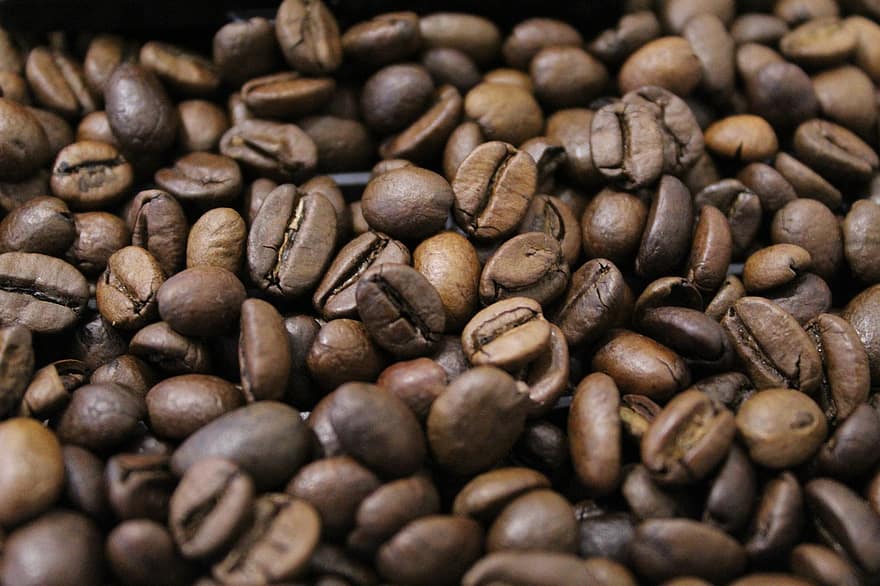 café, granos de café, comida, cafeína, asado, Café exprés, arábica, aroma, aromático, beber, bebida