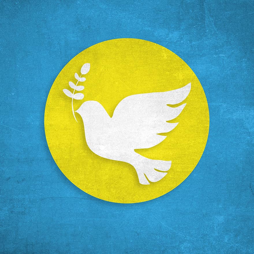 평화 비둘기, 우크라이나, 상징, 평화, 비둘기, 분기, 평화로운, 새, 우크라이나 국기, 배경, 삽화