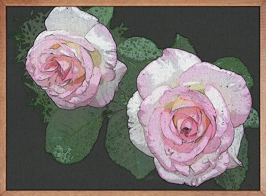 живопис, мистецтво, рожева троянда, кадру, сад