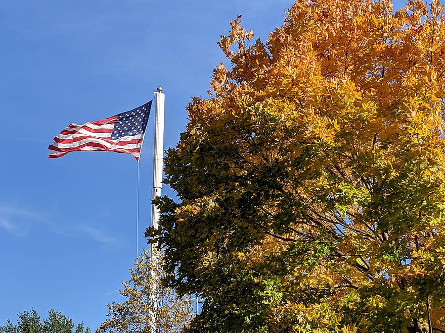 flaga, drzewa, odchodzi, listowie, flaga Ameryki, jesień, niebo, Natura, USA, drzewo