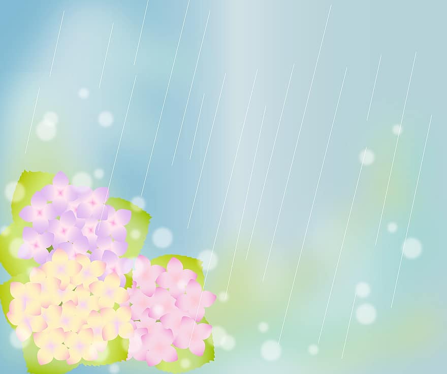 hortensias, fond pluvieux, arrière-plan flou, été, printemps, mariage, paysage, fleurs, Saison des pluies japonaise, gouttes de pluie, la nature