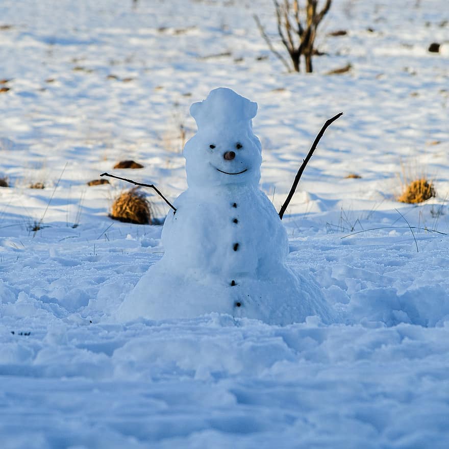 Снеговик, снег, зима, время года, улыбается, морковь, веселый, лед, веселье, крупный план, мороз