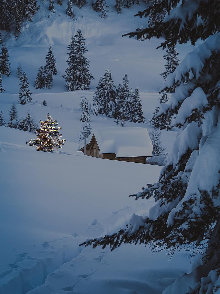 inverno, Natal, neve, natureza, cabana, arvores, época de Natal, temporada, floresta, montanha, panorama