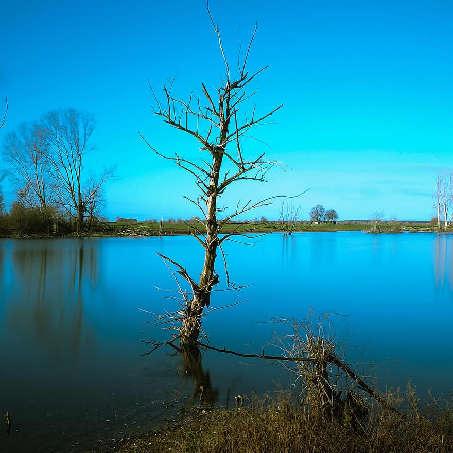 Lake, Nature, Tree, Bare Tree, Winter, Water, blue, reflection, landscape, autumn, forest