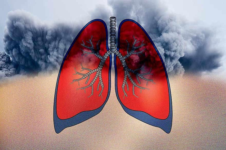 phổi, Sức khỏe, bụi mịn, Khói, bụi bặm, nguy hiểm, Phế quản, thoát ra, không khí, Môi trường, bình xịt