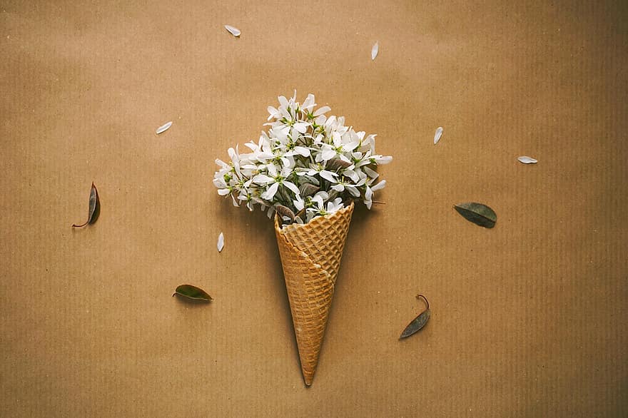 zmrzlinový kornout, Ledová veverka, květ, vafle, květy, zmrzlinový pohár, zmrzlina, báječný, deco, list, letní