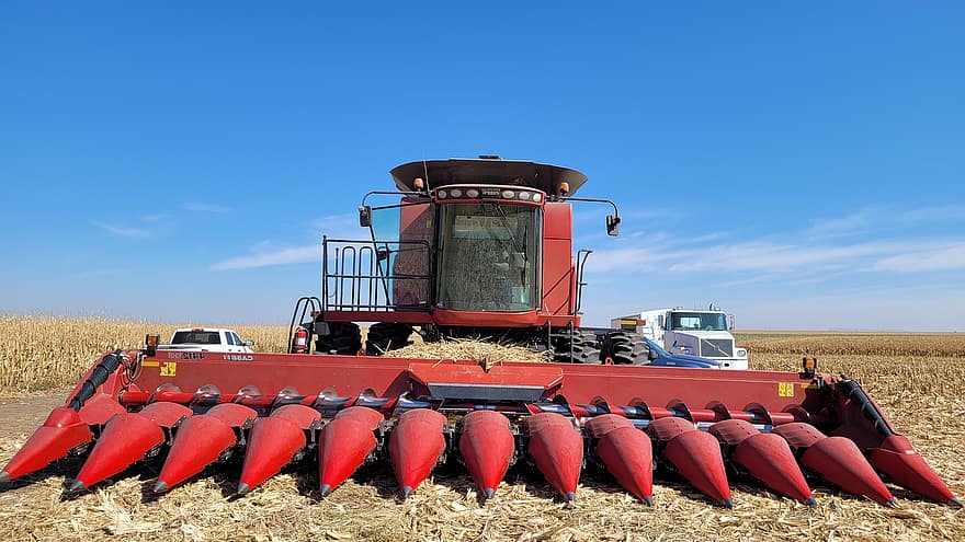 Kansas, kombajn zbożowy, żniwa, zbiory kukurydzy