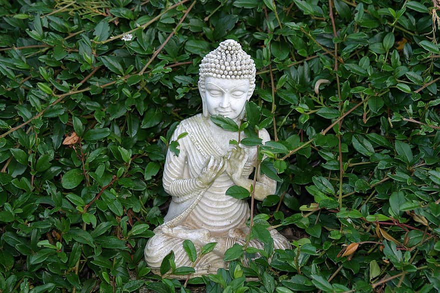 Budda, statua, giardino