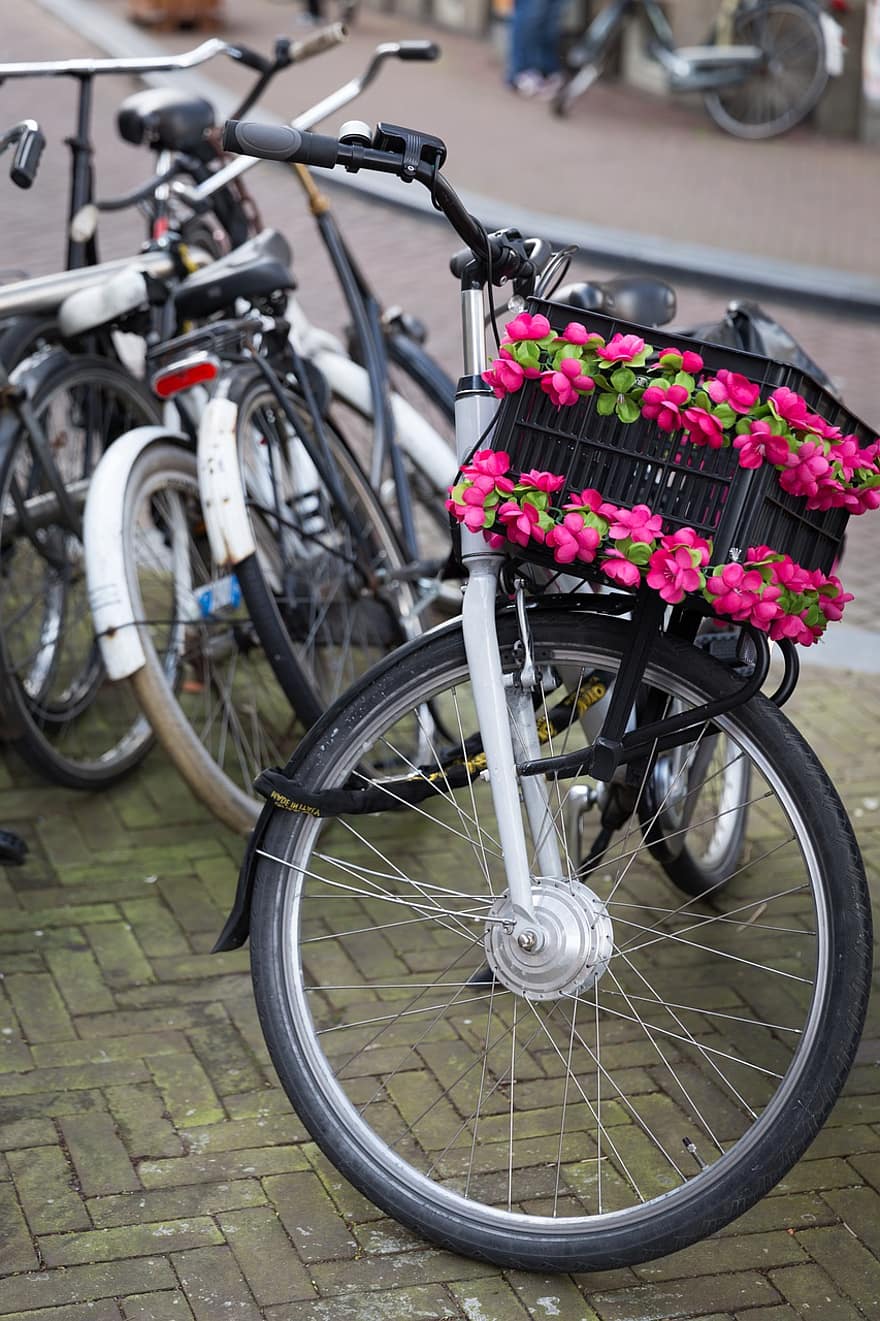 cykel, korg, blommor, utomhus, 1940-1980, amsterdam, antik, stad, kultur, cykling, Europa