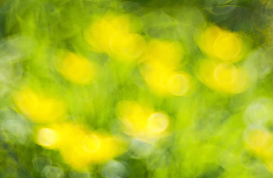 Coulter Bock 꽃, 예술적으로, 노랑, 색깔, 형태, 배경, 봄, 추상