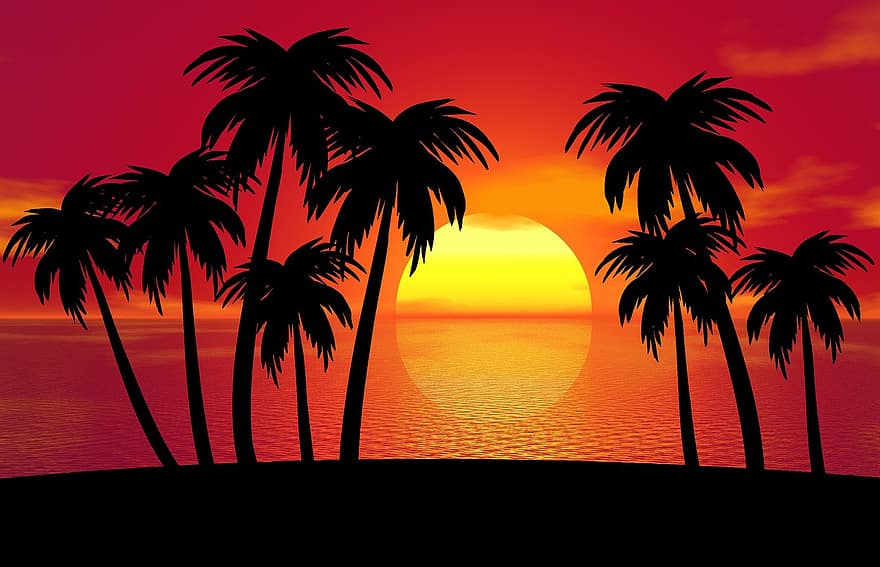palmu, koks, saule, siluets, pludmale, tropu, dizains, okeāns, salu, vasarā, paradīze