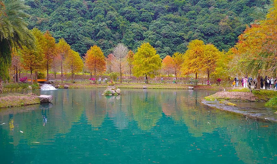 Pond, Garden, Park, Fall, Autumn, Trees, Larch, Forest, Lake, Nature, Water