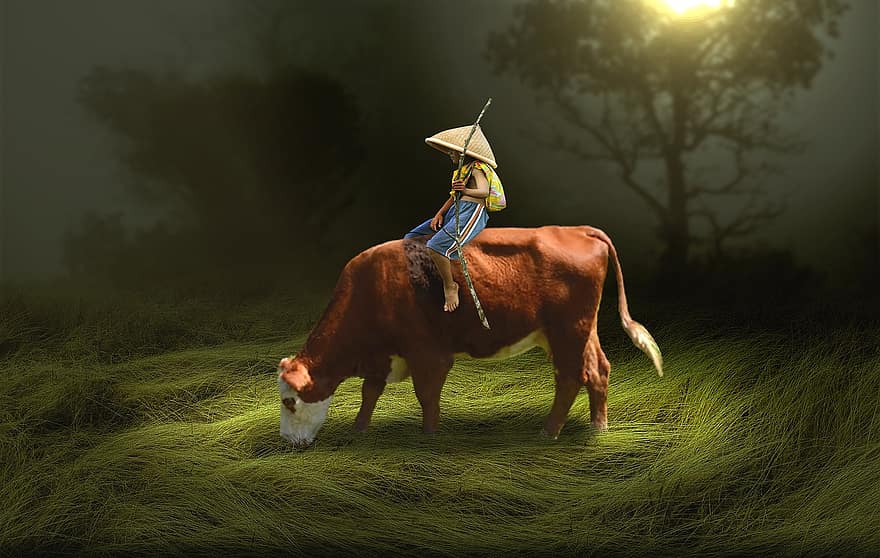 lapsi, ratsastus, lehmä, laidunmaa, heinä, ala, eläin, karja, kartiomainen hattu, auringonvalo, maaseutu