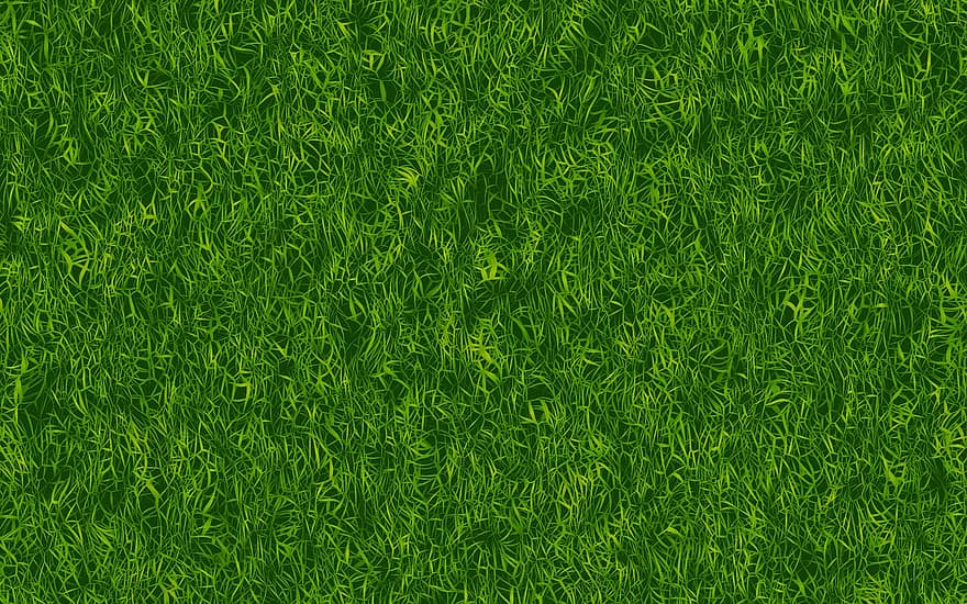 grama, verde, textura
