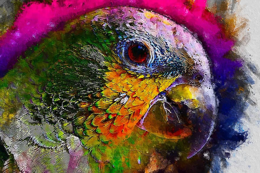 papagaio, animais, pássaro, pintura digital, aguarela