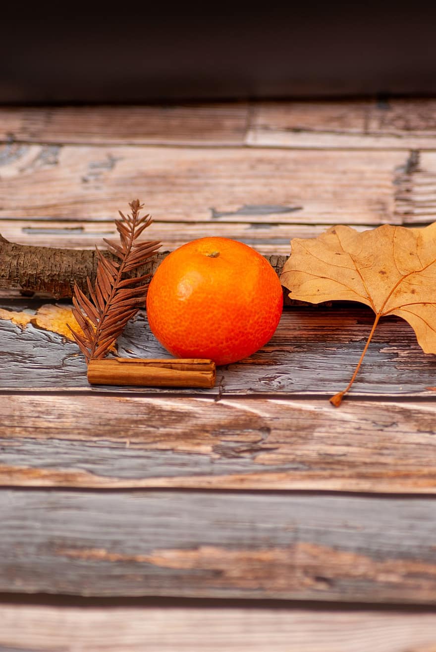 podzim, oranžový, ovoce, jídlo, Příroda, sušené listy, mandarinka, listy, skořice