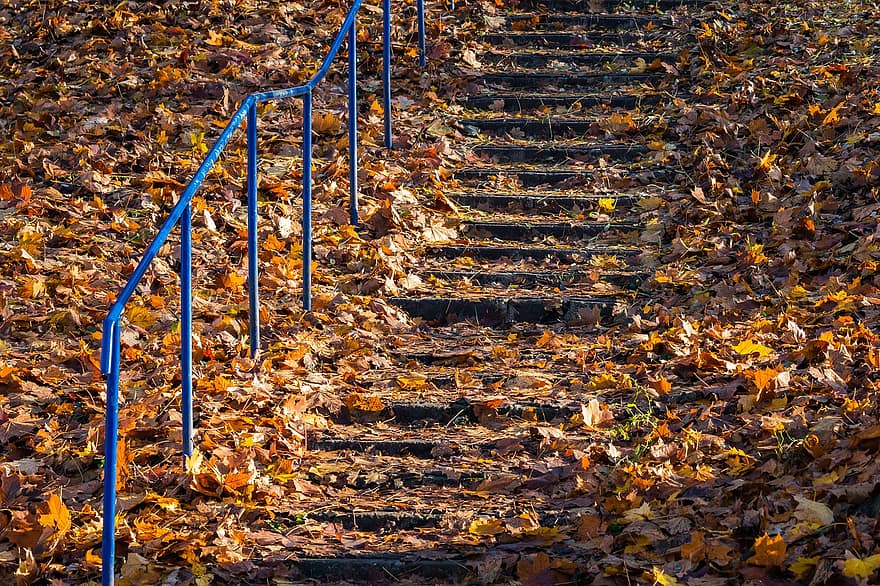 trappe, efterår, tørrede blade, blade