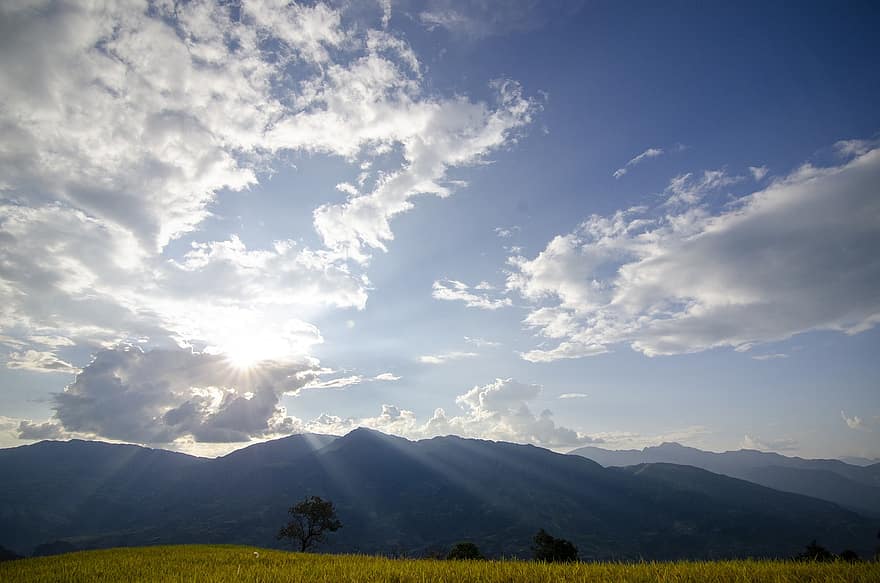 montaña, naturaleza, luz del sol, campo de arroz